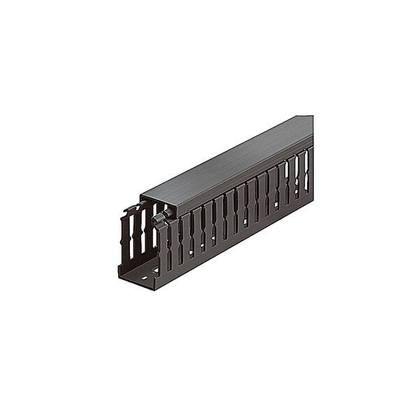 Thomas & Betts 1.5X1.5 NARROW SLOT BLACK DUCT TY15X15NPB6